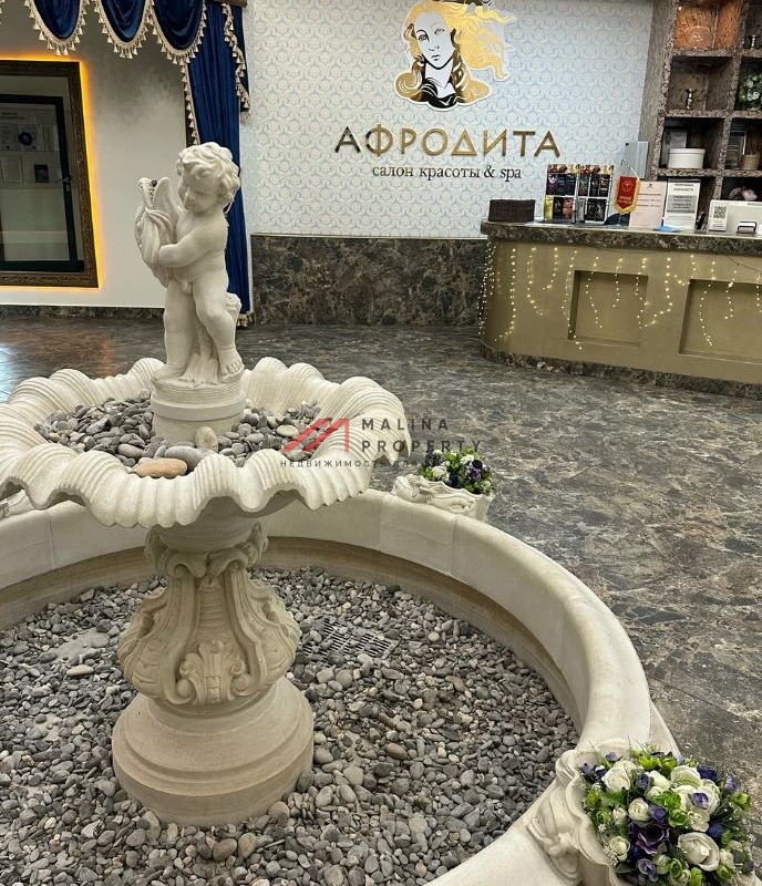 Продажа помещения с арендатором СПА комплекс на Ленинском проспекте
