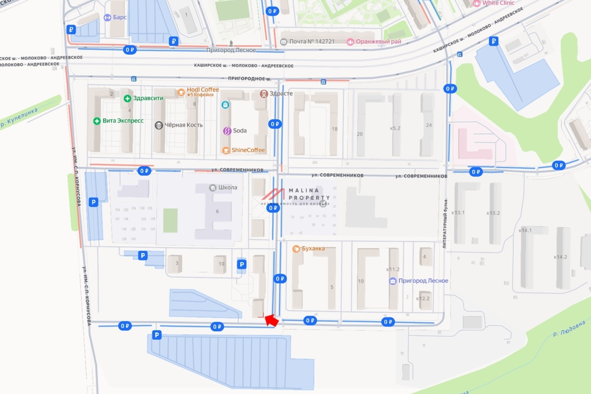 Аренда нежилого помещения в ЖК "Пригород Лесное"