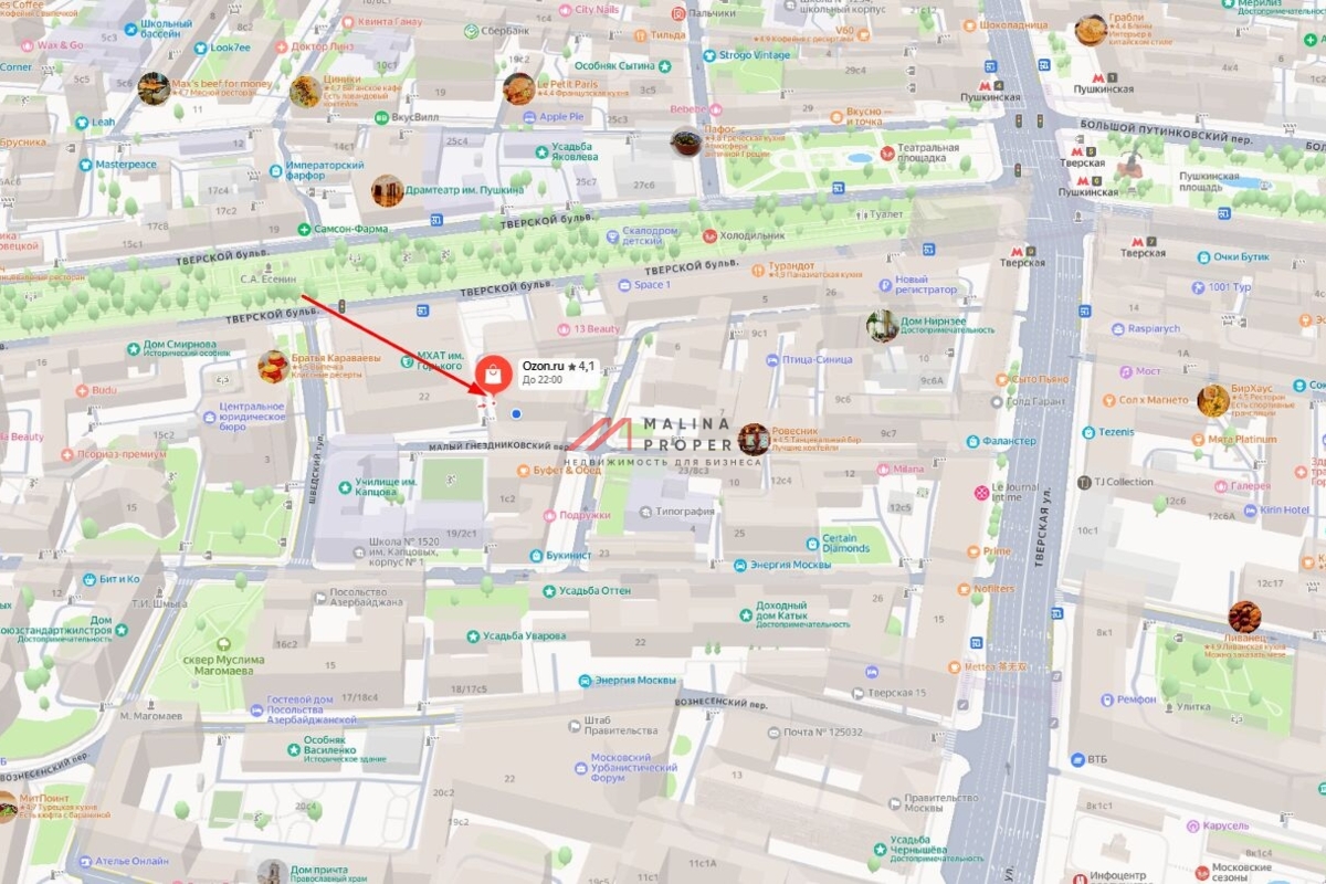 Аренда коммерческого помещения на Пушкинской