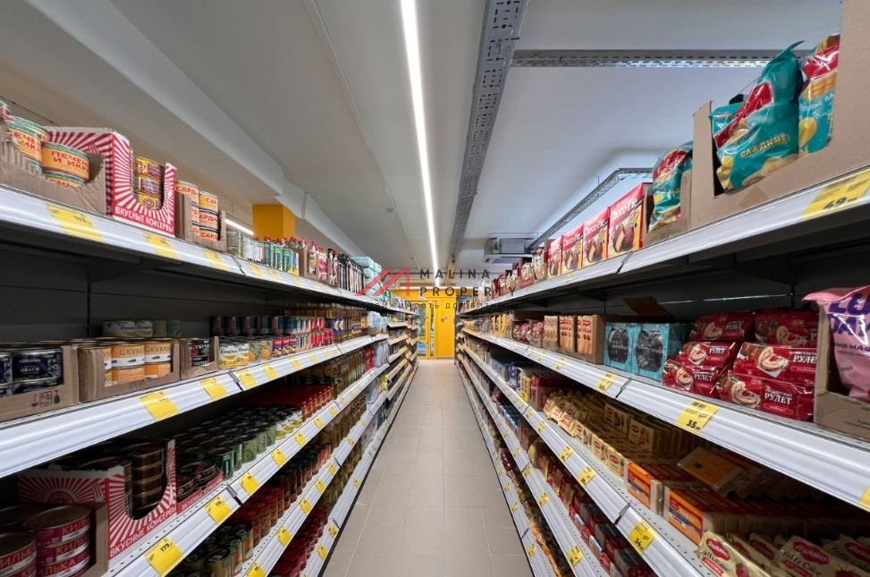 Продажа торгового помещения в Коломне с магазином «Моя Цена»