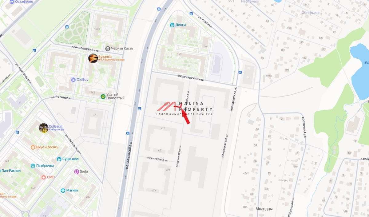 Аренда торгового помещения в Остафьево