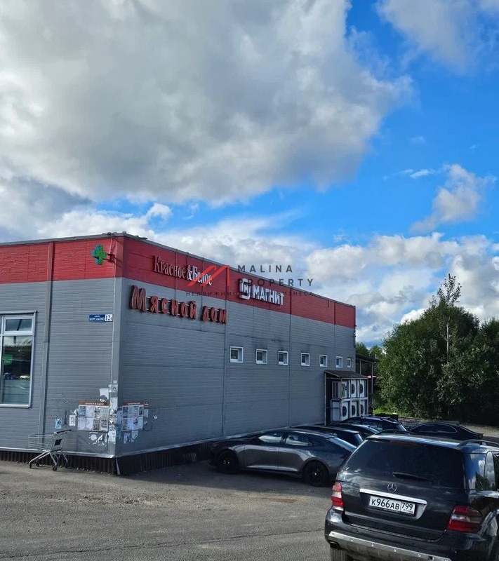 Продажа торгового здания с арендаторами в г. Истра 