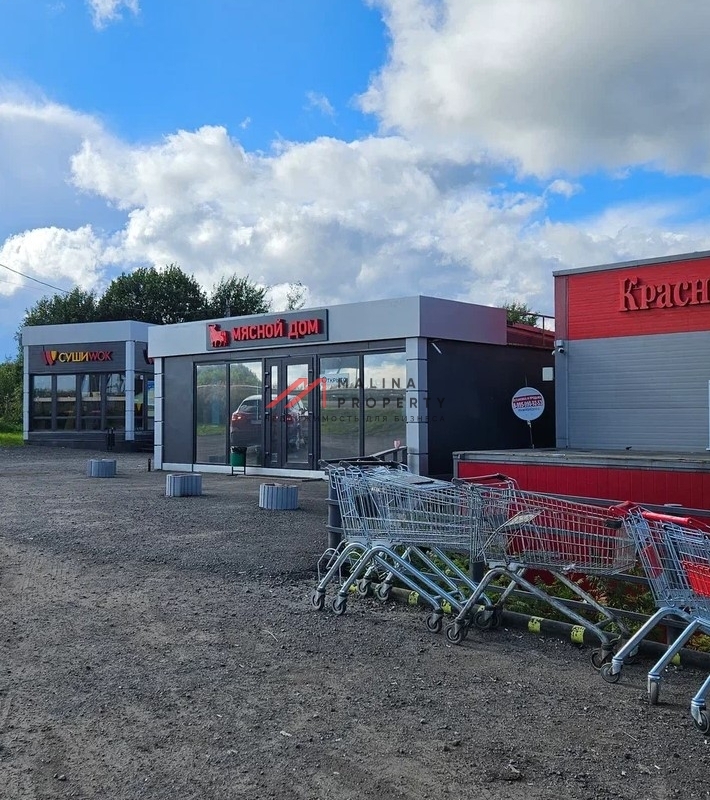 Продажа торгового здания с арендаторами в г. Истра 