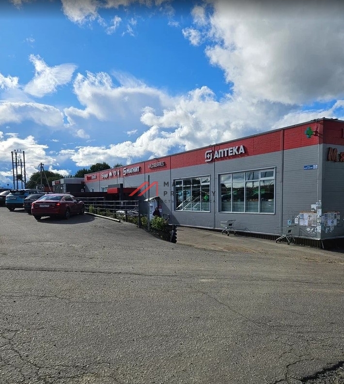 Продажа торгового здания с арендаторами в г. Истра 