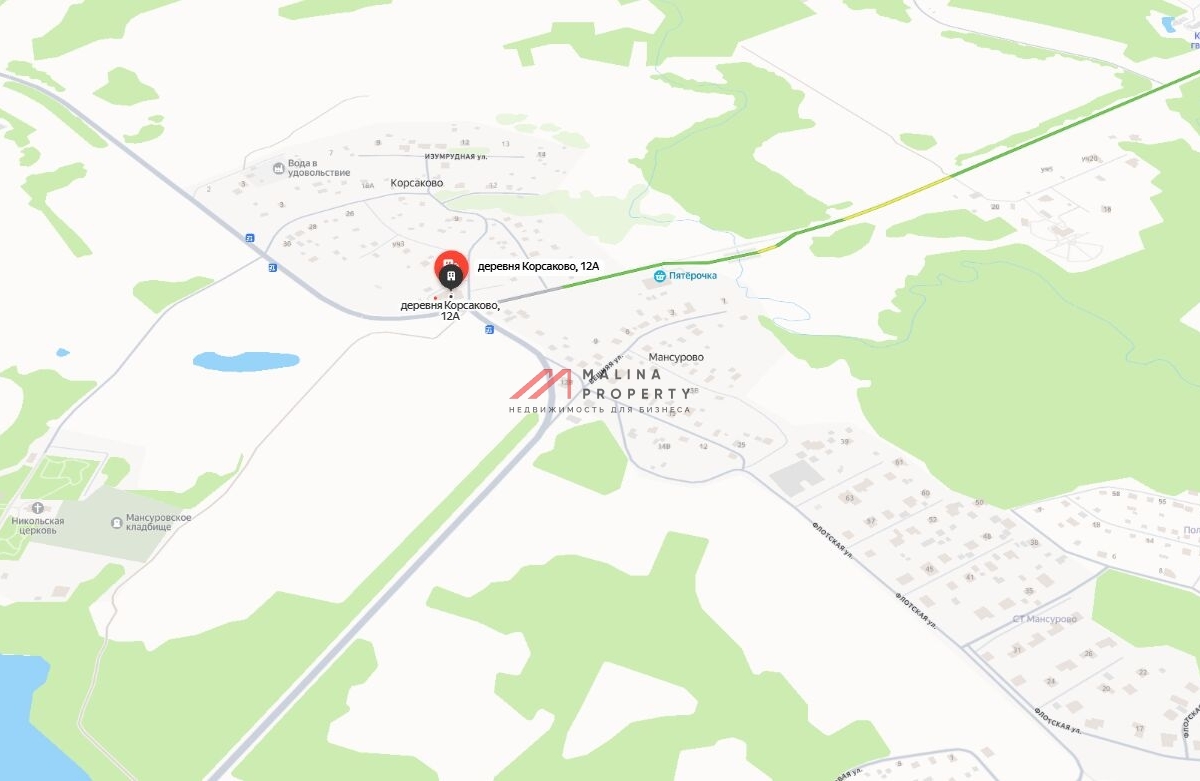 Продажа торгового здания с арендаторами в г. Истра 