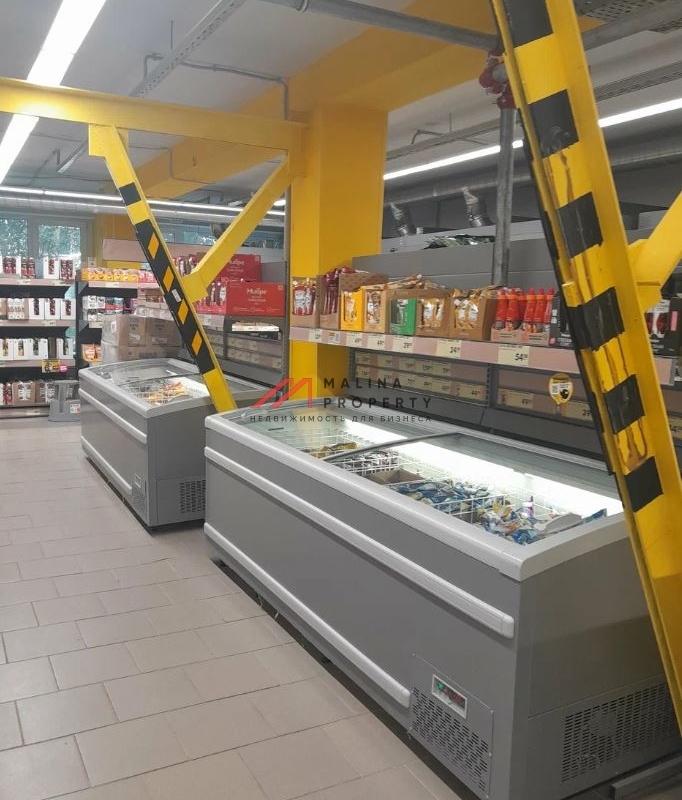 Продажа торгового помещения с магазином Чижик 