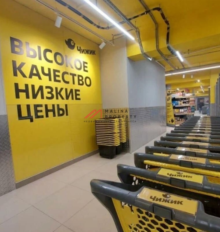 Продажа торгового помещения с магазином Чижик 