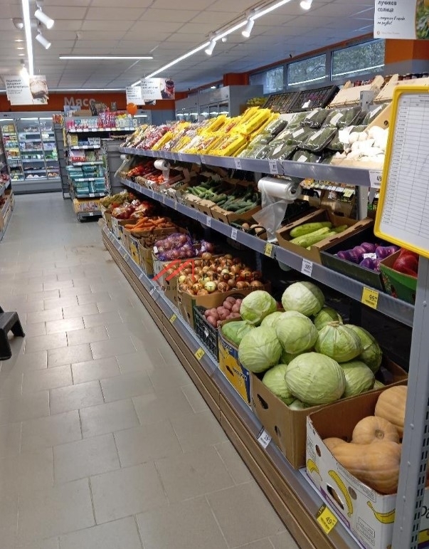 Продажа помещения с арендатором Дикси в Подольске 