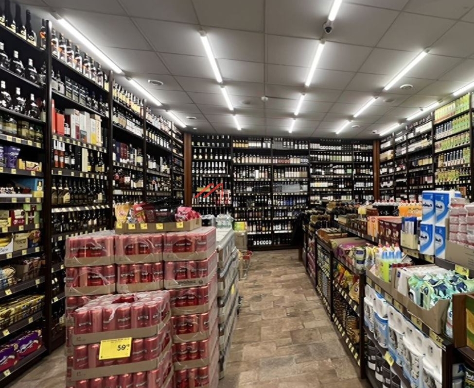 Продажа торгового помещения с арендаторами в г. Руза