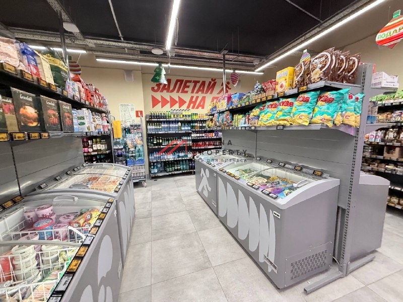 Продажа помещения с арендатором «Пятерочка Налету»
