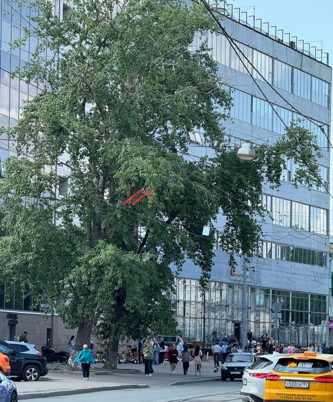 Продажа помещения с арендаторами в бизнec-центре "Виктopия плазa"