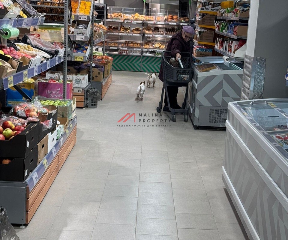 Продажа торгового помещения с супермаркетом Пятерочка
