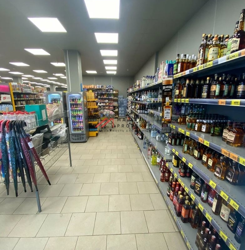 Продажа помещения с супермаркетом "Пятёрочка" г. Электросталь