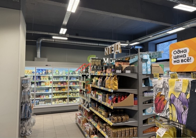 Продажа помещения с супермаркетом Пятёрочка