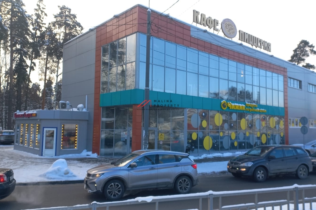Продажа здания с якорным арендатором Чижик
