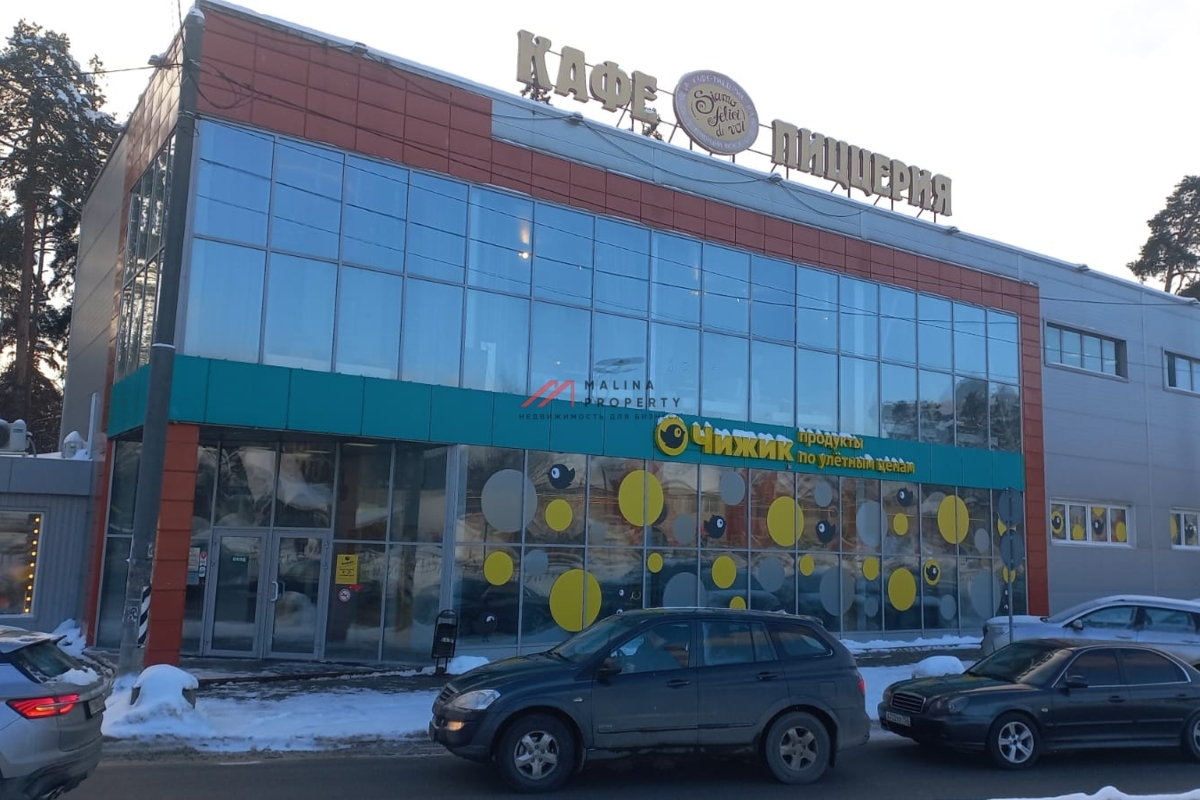 Продажа здания с якорным арендатором Чижик