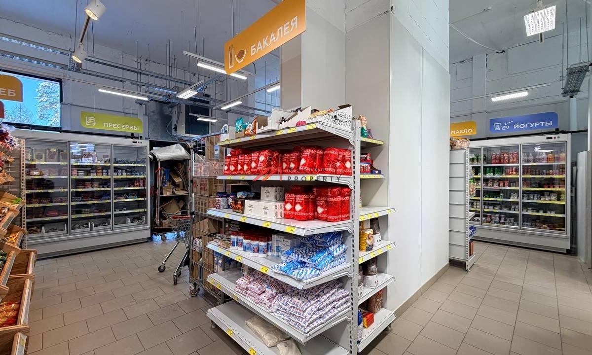 Продажа помещения с супермаркетом Магнит