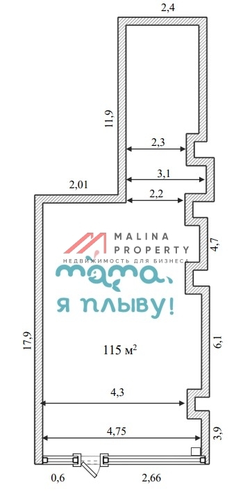Продажа помещения с арендатором Мама я плыву 