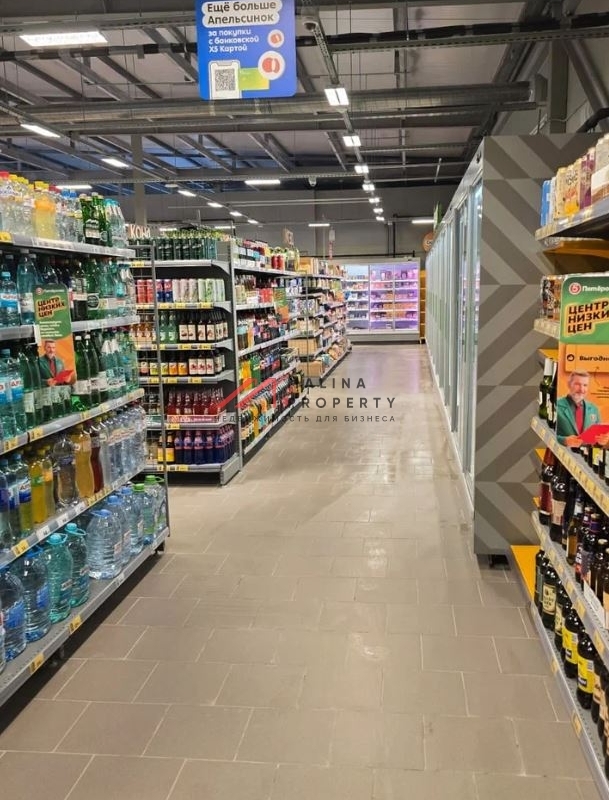 Продажа здания с арендаторами в г. Чехов