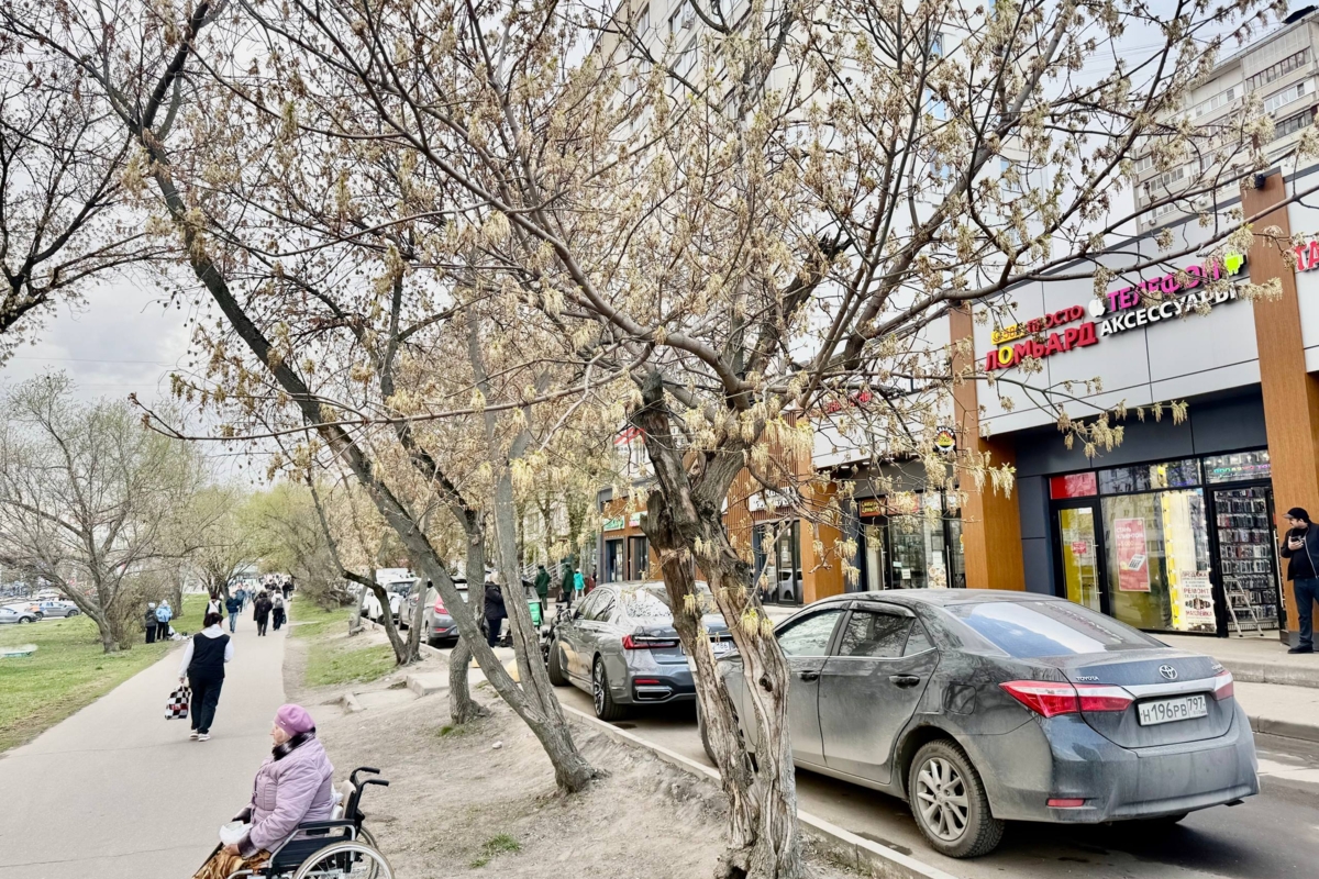 Продажа торгового помещения с арендатором в Люблино