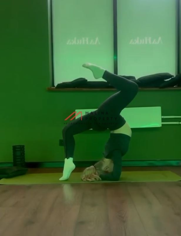 Продажа здания с магазином Чижик в г. Истра