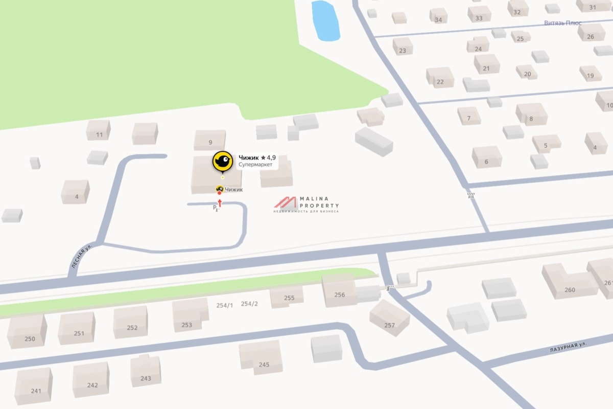 Продажа здания с магазином Чижик в г. Истра