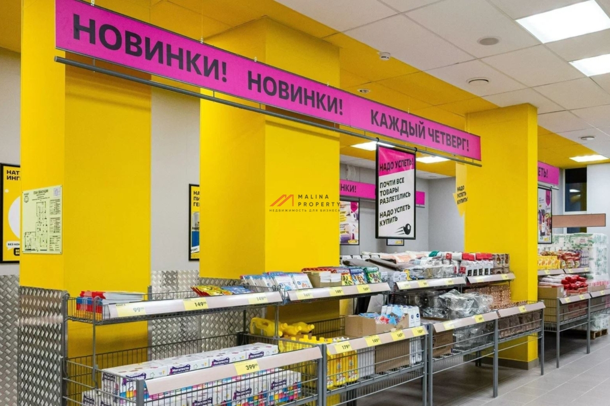 Продажа здания с магазином Чижик в г. Истра