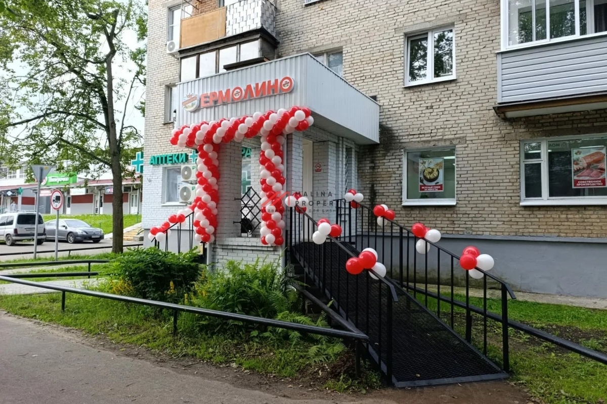 Продажа помещения с арендаторами в Черноголовке 