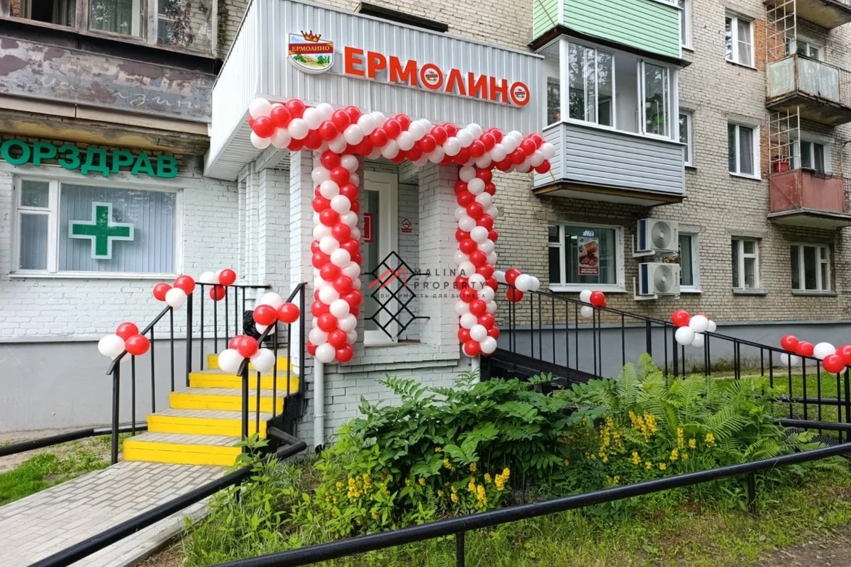 Продажа помещения с арендаторами в Черноголовке 