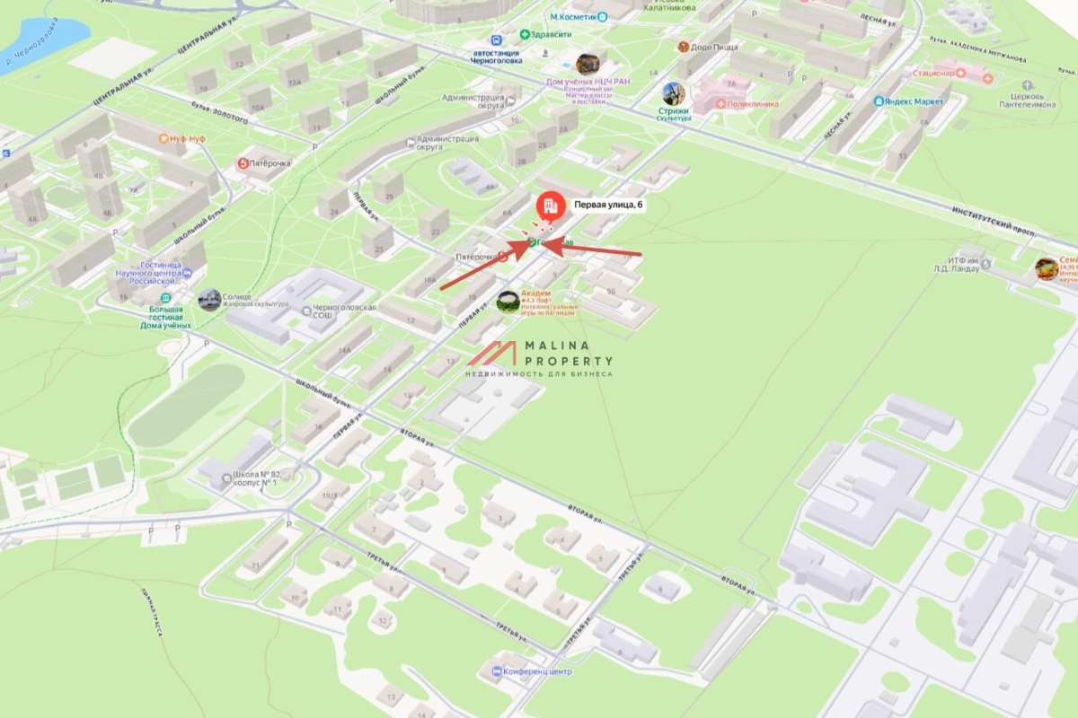 Продажа помещения с арендаторами в Черноголовке 