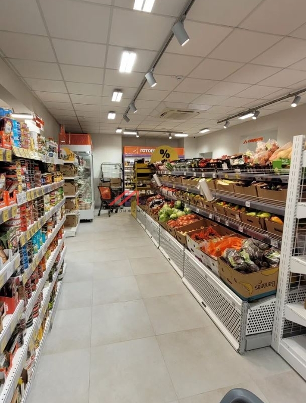 Продажа торгового помещения с магазином "Дикси"