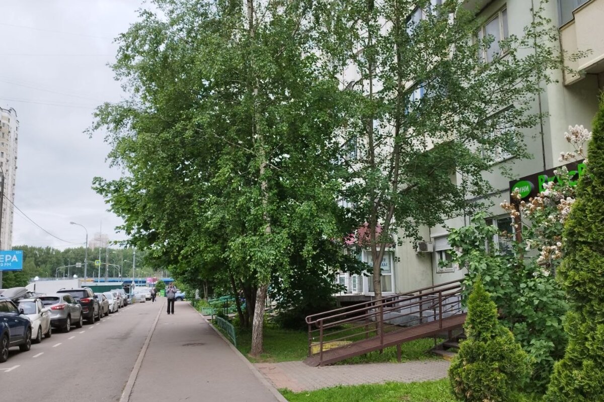Продажа помещения с арендатором Вкусвилл