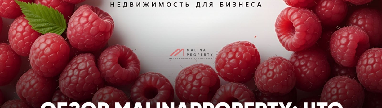 Обзор торговой недвижимости от MalinaProperty
