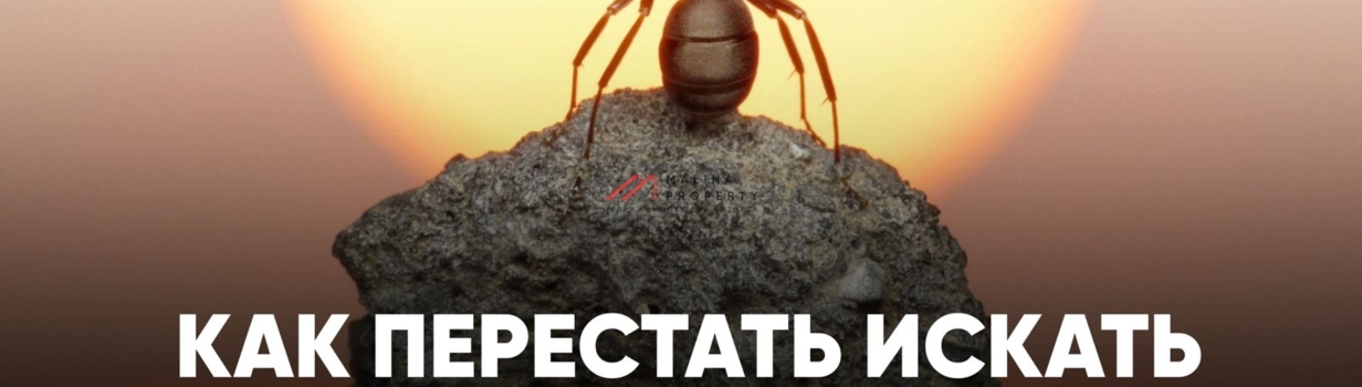 Как перестать искать «чудо» — и получить рабочую доходность