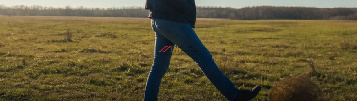 Новость с полей. 