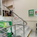 Продажа помещения с арендатором аптека Ригла 