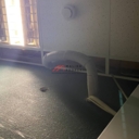 Аренда торгового помещения у метро Маяковская