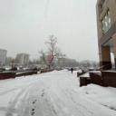 Аренда коммерческого помещения рядом с метро Пролетарская