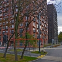 Аренда коммерческого помещения в ЖК "Академика Павлова"