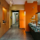 Продажа помещения с арендатором "Даблби"  