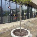 Аренда торгового помещения в ЖК Foriver