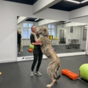 Продажа нежилого помещения с арендаторами на Варшавском шоссе