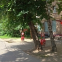 Аренда торгового помещения в Москве