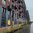 Аренда в ЖК Остафьево 1я линия