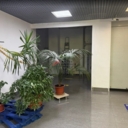 Продажа здания с арендаторами в районе Свиблово 