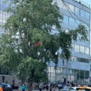 Продажа помещения с арендаторами в бизнec-центре "Виктopия плазa"