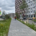 Продажа коммерческого помещения в ЖК "Ильинские луга"