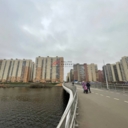 Продажа помещения с магазином "Пятерочка" в Люберцах