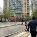 Продажа помещения с арендатором Ozon на Ленинградском шоссе 