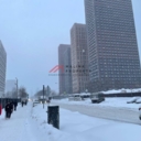 Аренда торгового помещения в  ЖК Первый Дубровский